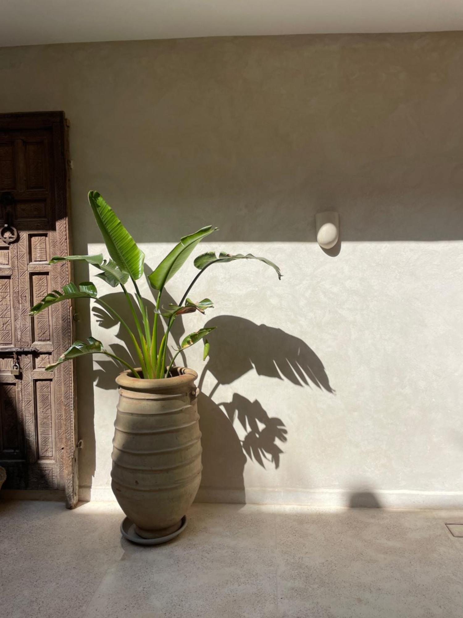 מרקש Riad Roca מראה חיצוני תמונה